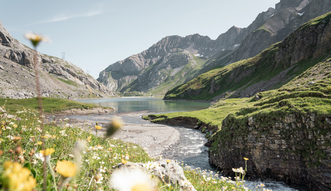 Scenic landscape with wildflowers, mountain lake, and rocky peaks under a clear blue sky.
