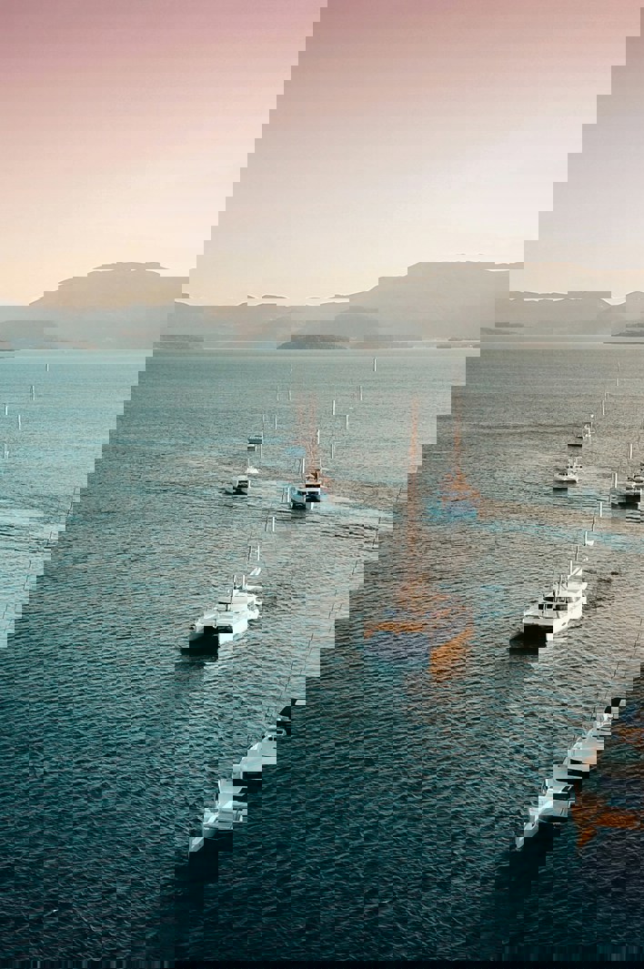 Several sailboats and catamarans sailing in formation across calm blue water at sunset, with mountains and islands in the distance under a pink and golden sky.